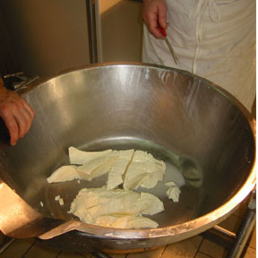 cb curd 01 Mozzarella Torte   Cheese Maker in Sicily